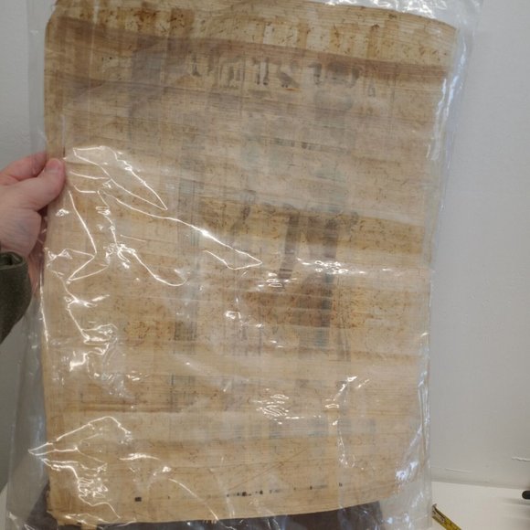 Beautiful Egyptian Painting On Papyrus Paper. Art Birds Fish - Picture 5 of 7